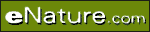 eNature